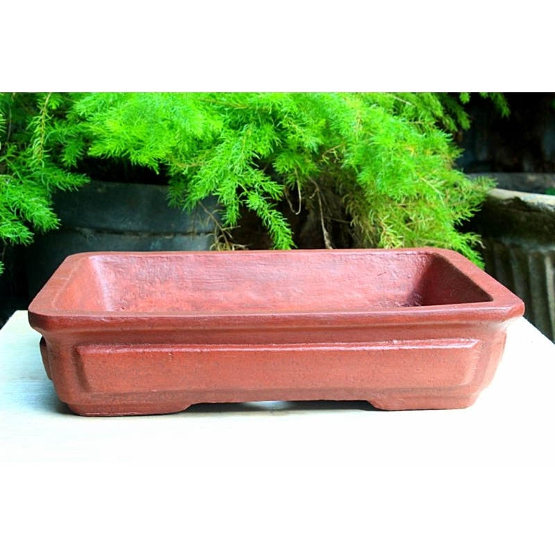 Pot Bonsai Semen Kotak 06 [ khusus instant ]