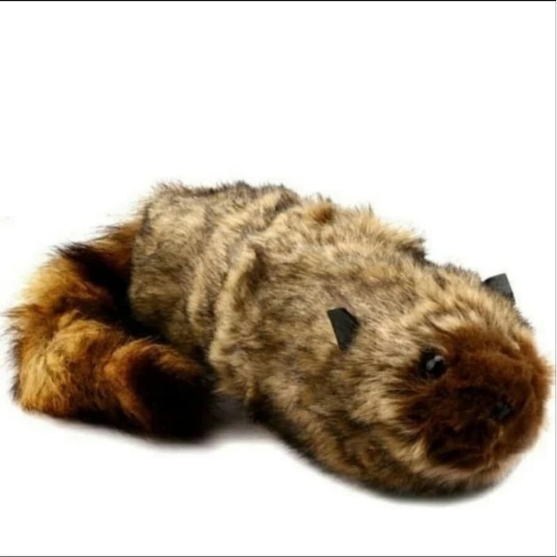 alat sulap boneka racoon