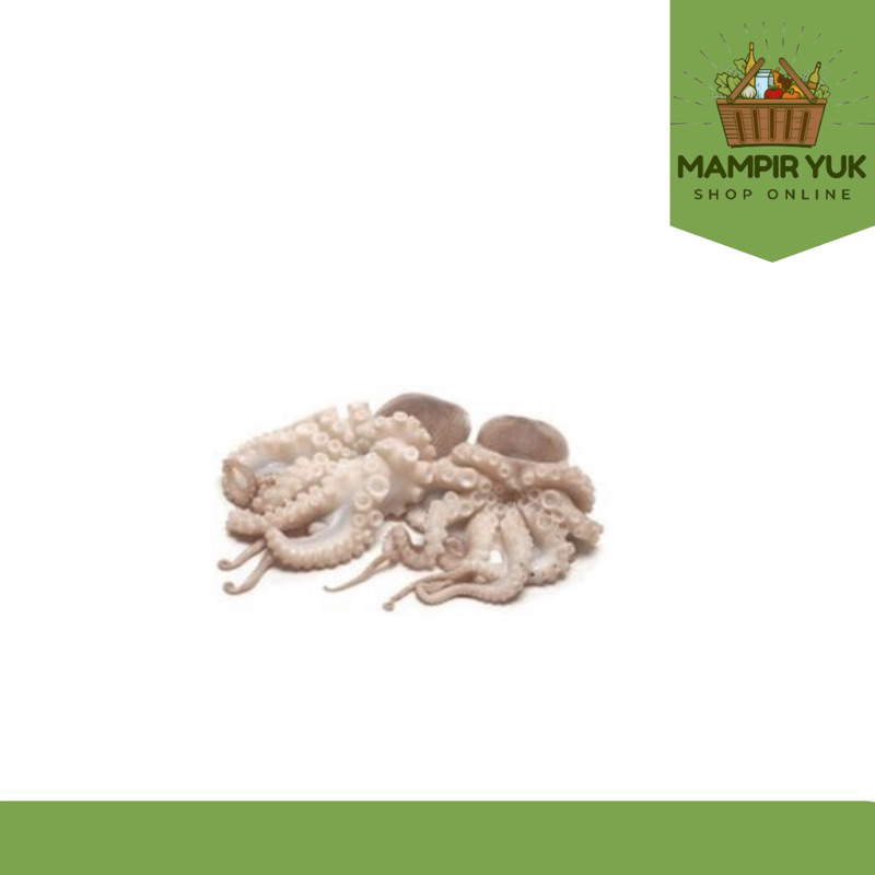 

Baby octopus 500gr-1kg | mampiryuk