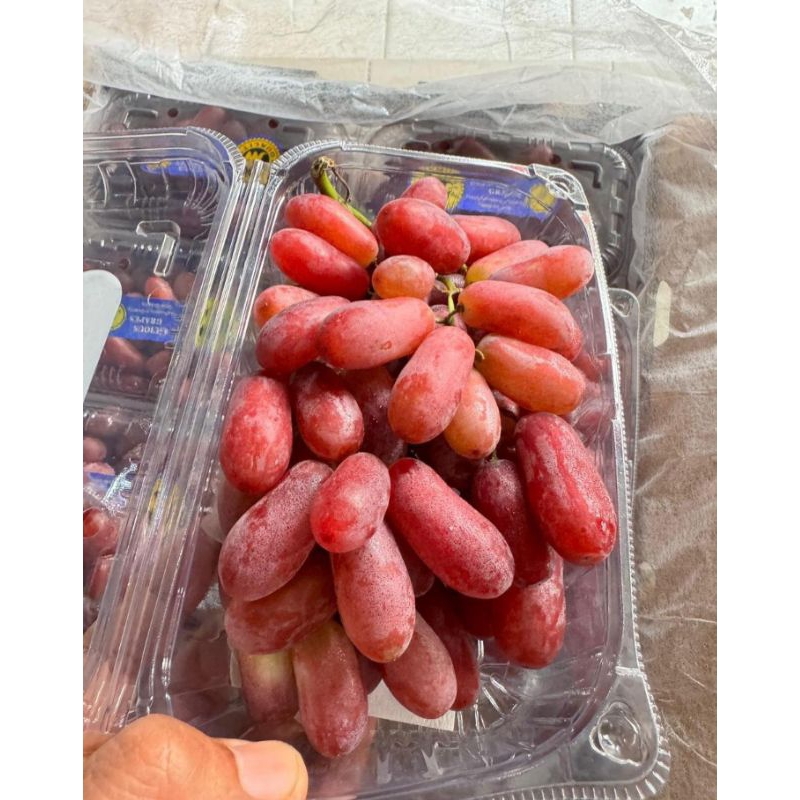 

ANGGUR LONG CRIMSON FRESH PACK YUK DIORDER