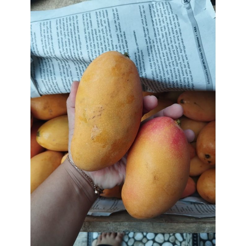 

Mangga Podang Suluhan 1kg