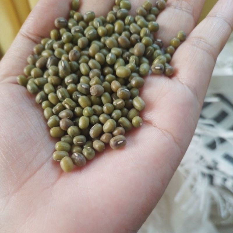 

Kacang hijau super 1kg