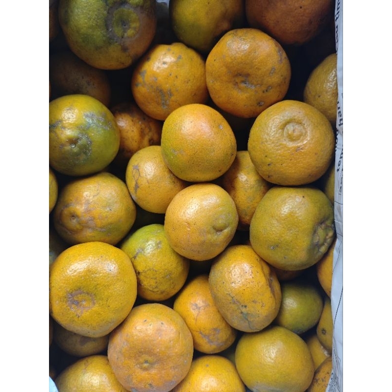 jeruk siam bali  1 kg