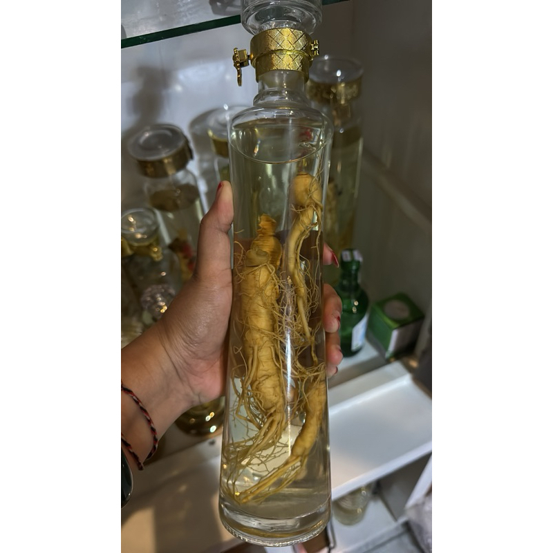 

rendeman ginseng 500cc