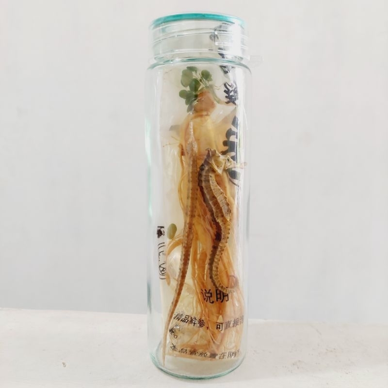 

baceman gingseng lengkap'' botol 500ml kaca. gingseng . Kud4 laut . naga laut