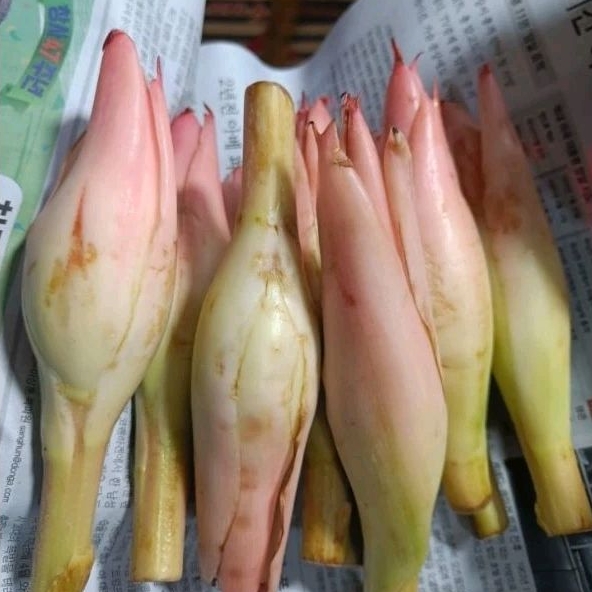 

Bunga Kecombrang / Bunga Rias Segar 500gram