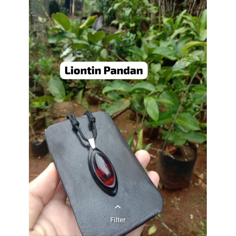 Mustika getah katilayu. Liontin pandan berkualitas terbaik.