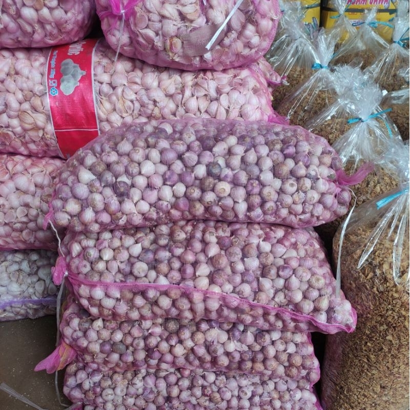 

3Kg Bawang Tunggal Bawang Lanang Grosir/ Bawang Tunggal / Bawang Lanang IMPORT Kualitas SUPER Ukuran MEDIUM FRESS
