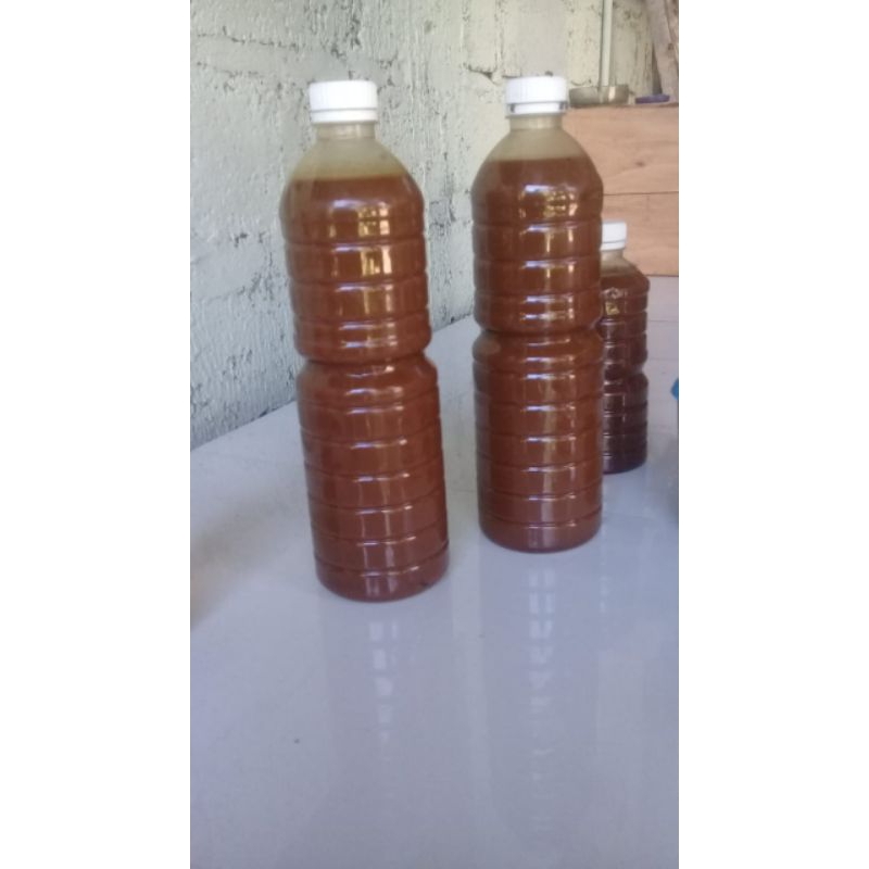 

Madu Klanceng ( trigona teuweul golo-golo)