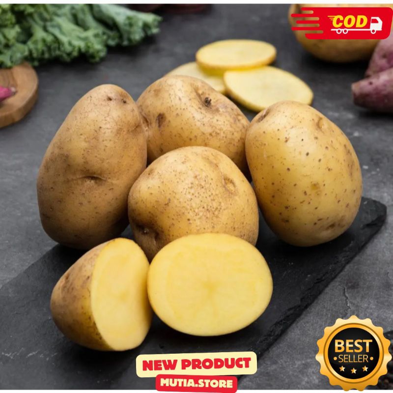 

Kentang Dieng Segar 1 Kg Fresh