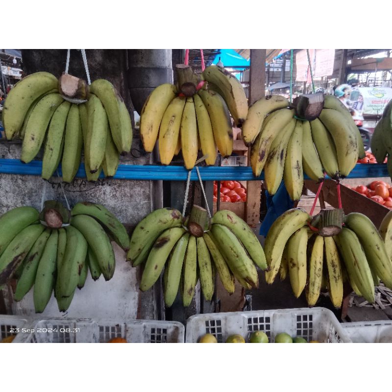 

Pisang Ambon / sisir