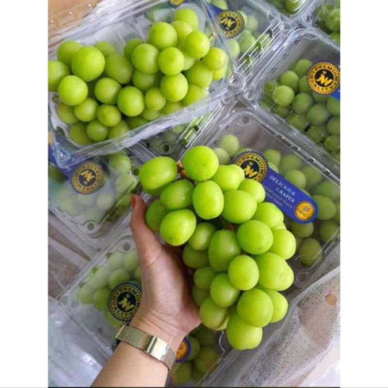 

Buah anggur shine muscat