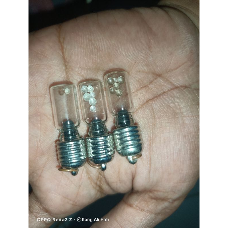 mustika ikan