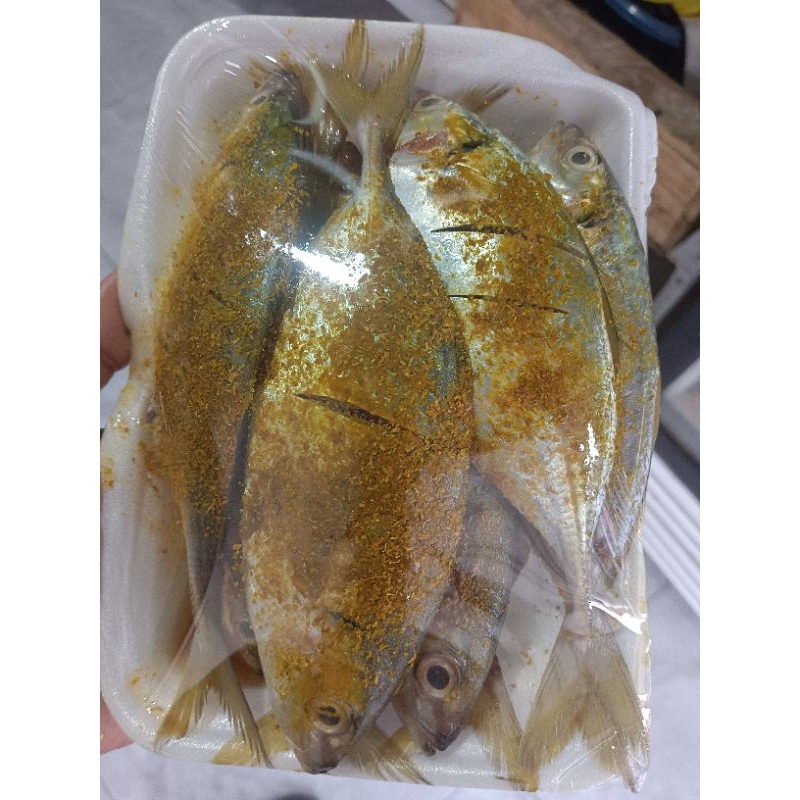 

ikan kembung marinasi siap goreng