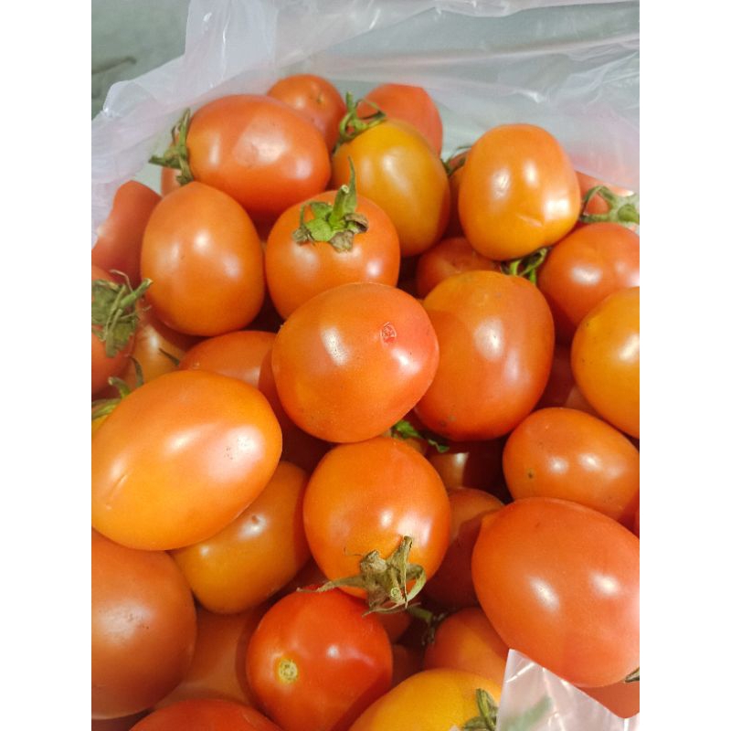 

tomat fresh berat 250gram