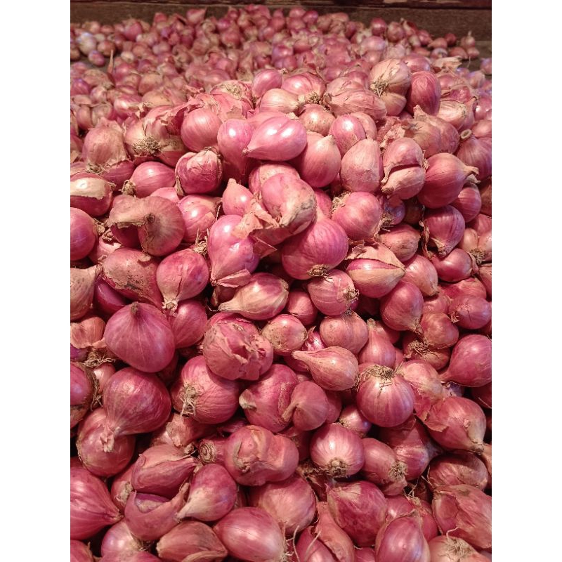 

bawang merah super besar dan kering 250gram