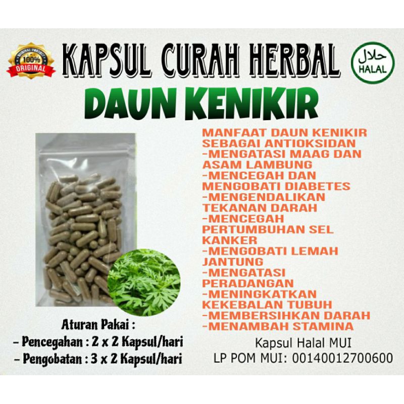 Herbal KAPSUL DAUN KENIKIR isi 100
