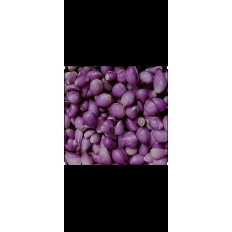 

bawang merah kupas / bawang merah Samosir 1kg COD