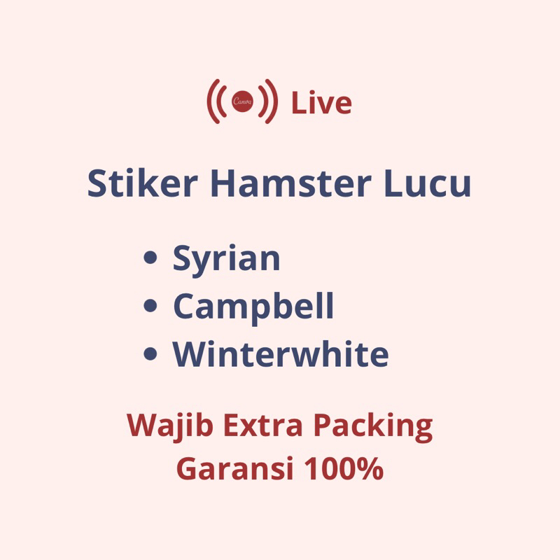 

Stiker Hamster Lucu