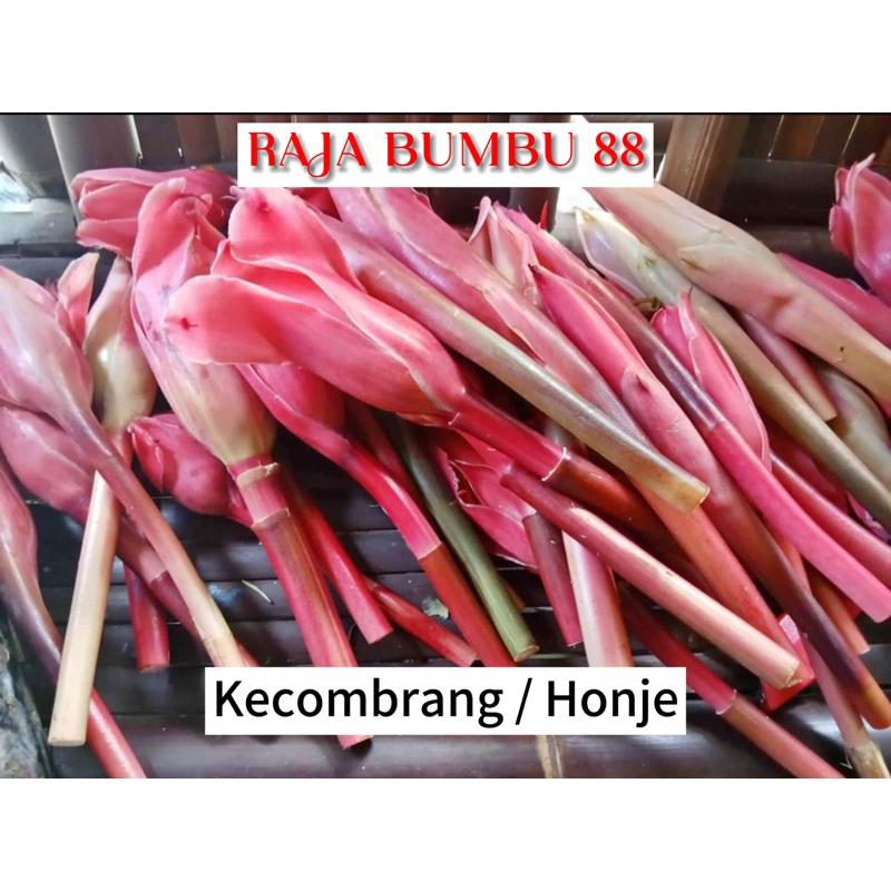 

KECOMBRANG 500gr