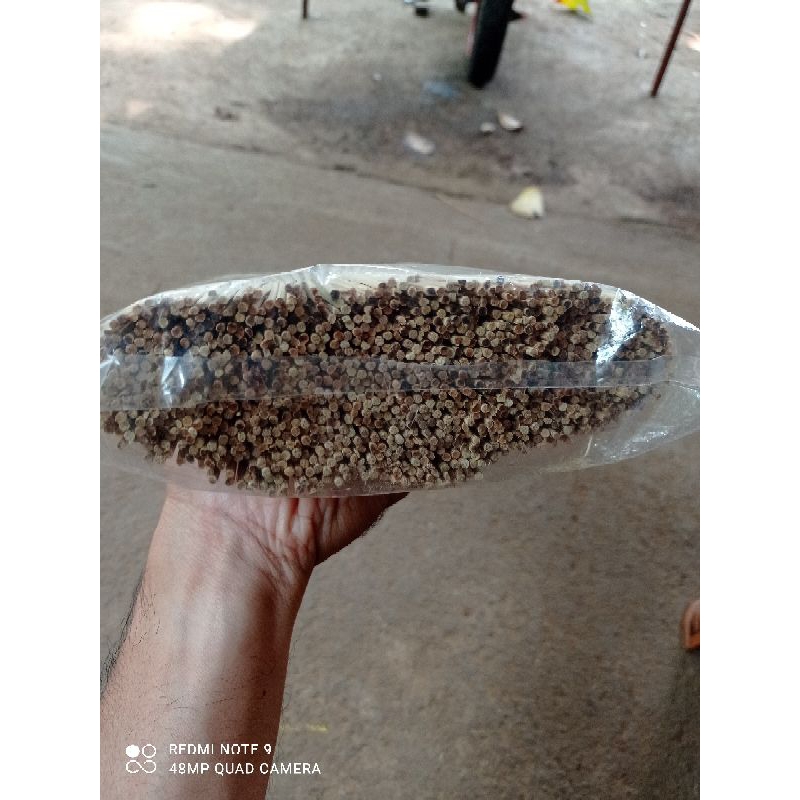 

Tusuk sate ayam ukuran 24cm Runcing