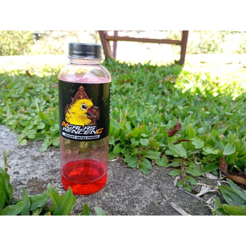 Doping Pleci Dosis Tinggi Buat Sogon Juga Bisa