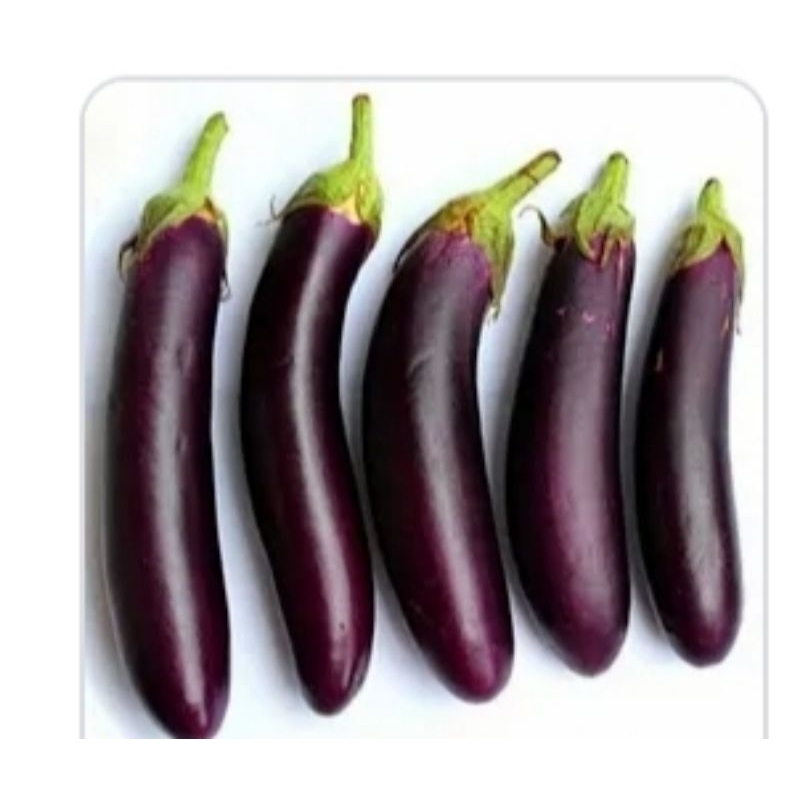 

sayur terong perbiji/pasar online karuwisi