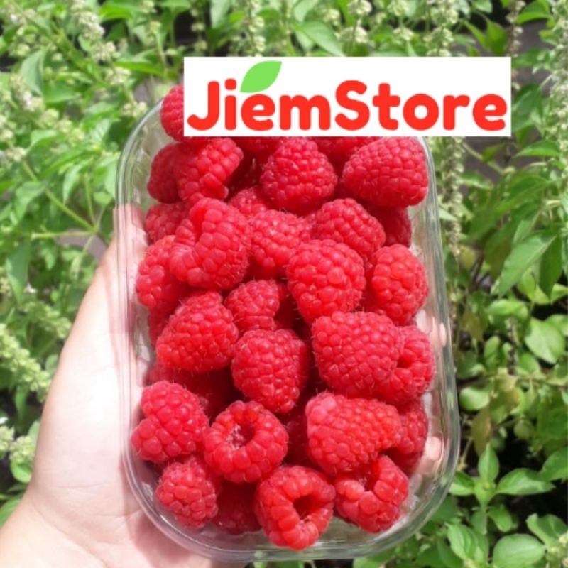 Raspberry Fresh Segar Bukan Frozen Rasberry Buah Berry Berries All Seasons Holland Original