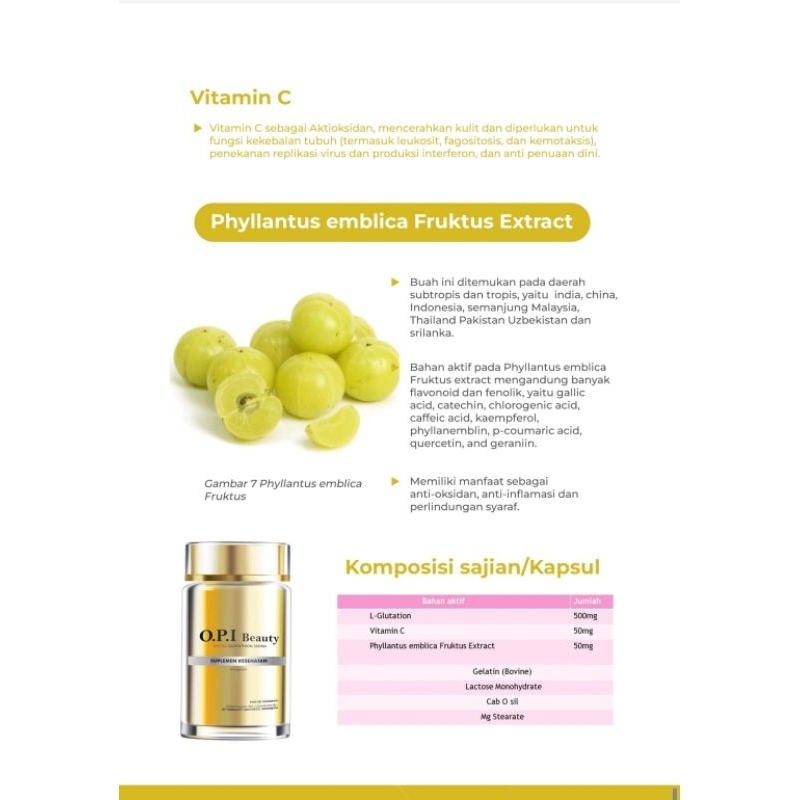 OPI BEAUTY SUPLEMEN PENCERAH DN ANTI AGING