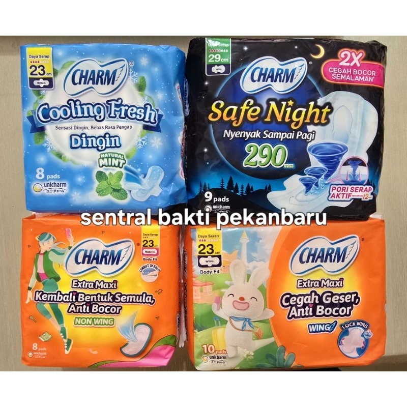 CHARM PEMBALUT 23CM - 29CM