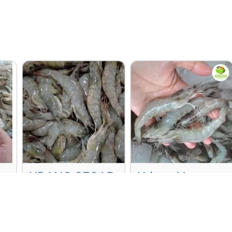 

udang empang / pasar online karuwisi