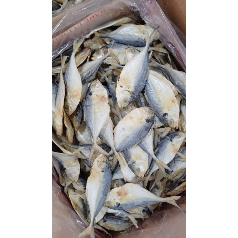 

IKAN ASIN SELAR ENAK DAN BERSIH BERAT 1 KG