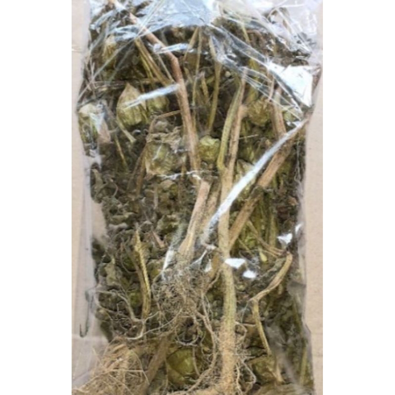 

Daun ciplukan kering 100 geram