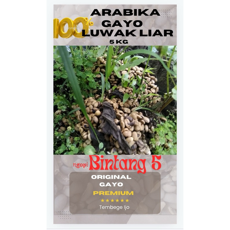 

Arabika Gayo Luwak Liar 5 Kg