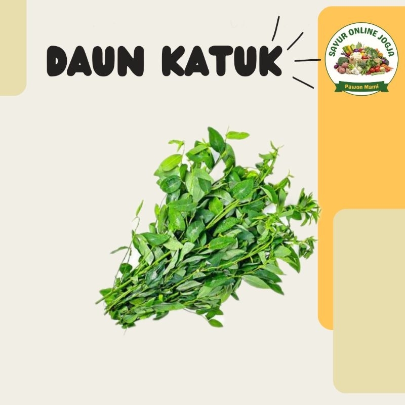 

Daun katuk per ikat - PAWON MAMI SAYUR ONLINE JOGJA