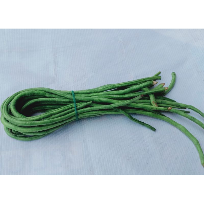 

kacang panjang 250g