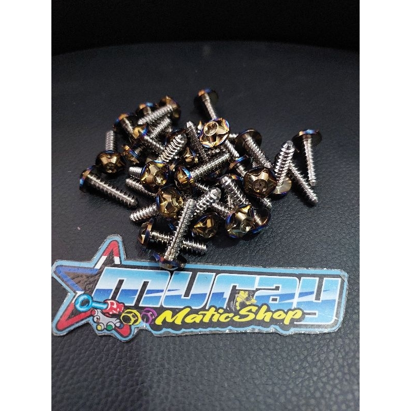 Baut Filter titanium it salaya