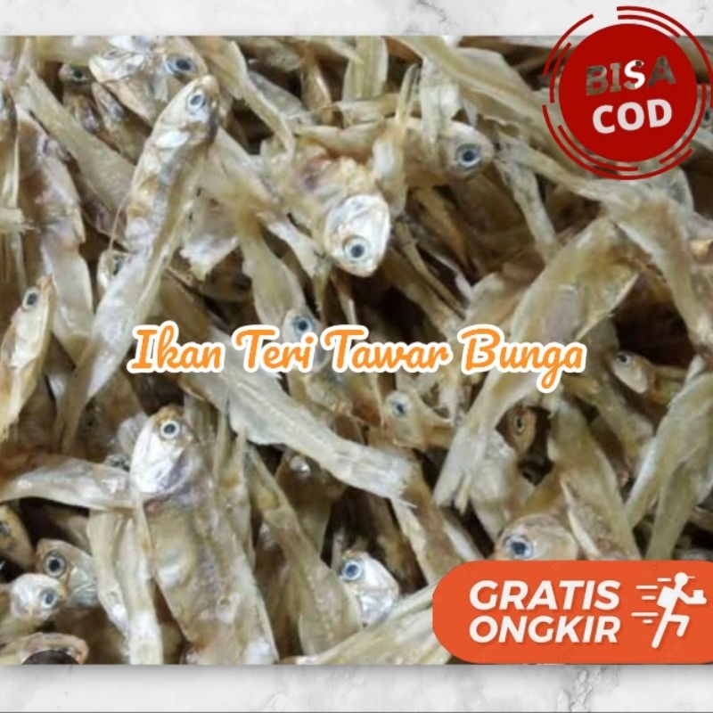 

Ikan Teri Tawar Bunga | Ceples |Teri sibolga Medan Sedang 250gr-1kg