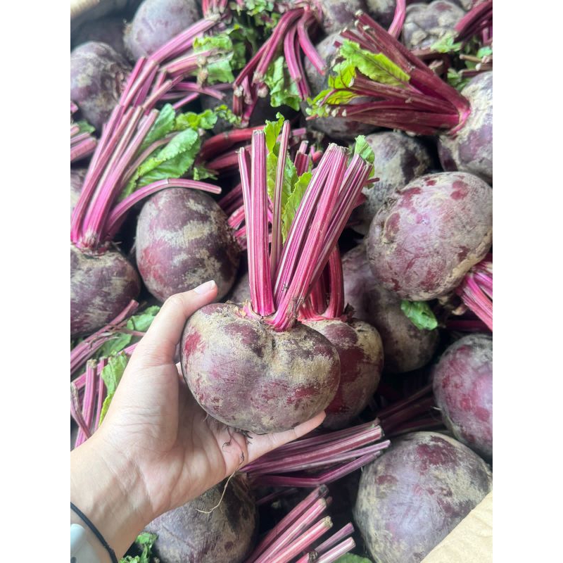 

BEET ROOT (Buah Beet) 10 KG