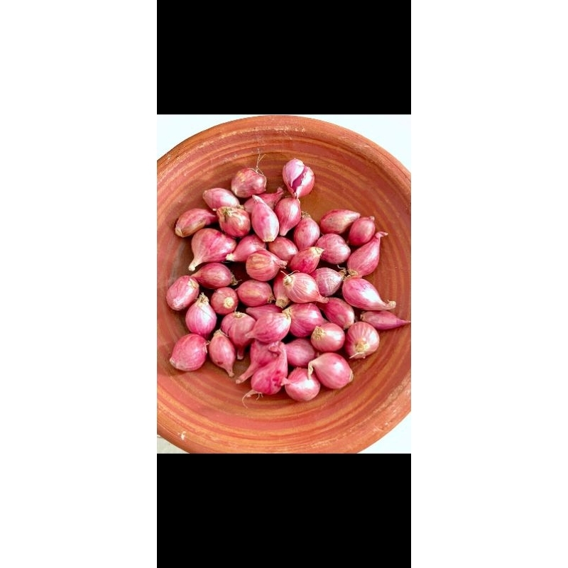 

BAWANG MERAH ½ KG UKURAN KECIL BAMER MURAH KUALITAS TERJAMIN