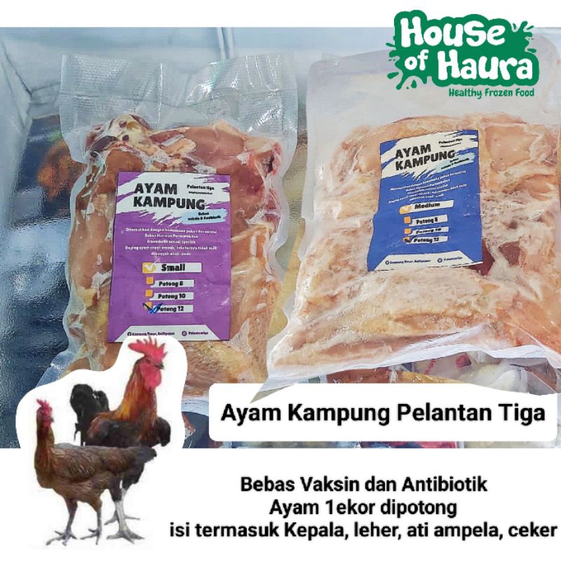 

ayam Kampung utuh / ayam kampung potong