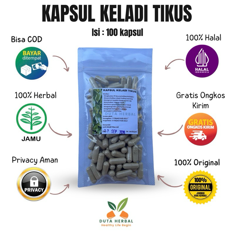 Kapsul Keladi Tikus Isi 100 Asli Herbal