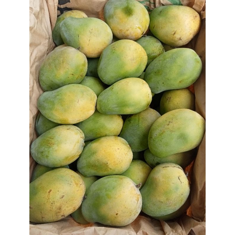 

mangga harumanis siap santap, super dan joss 1 kg isi 2-3.