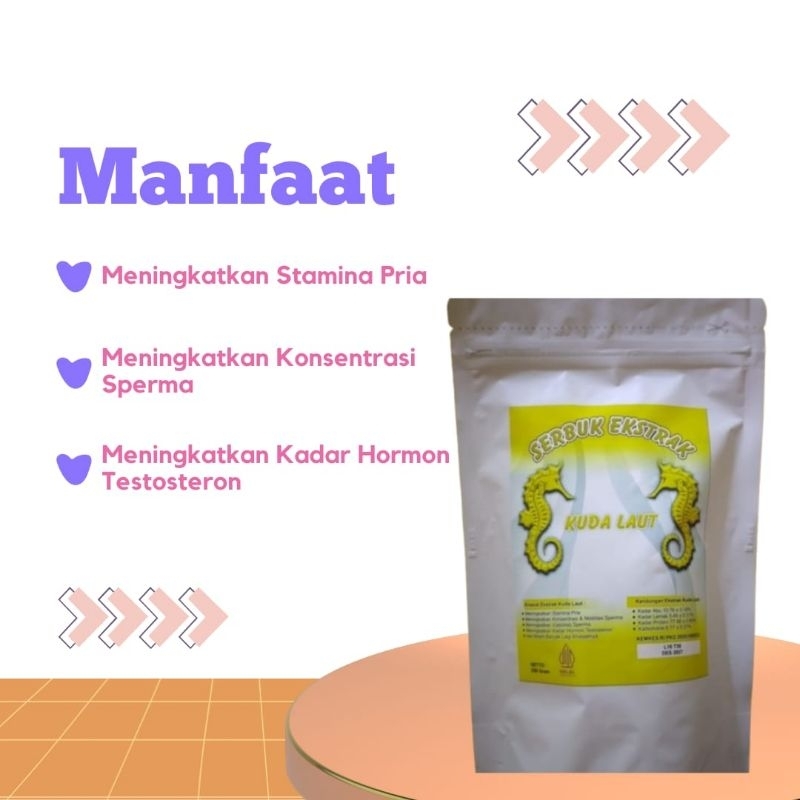 jual kuda laut bubuk 250 gram jual serbuk kuda laut bandung jual kuda laut bubuk jakarta jual serbuk