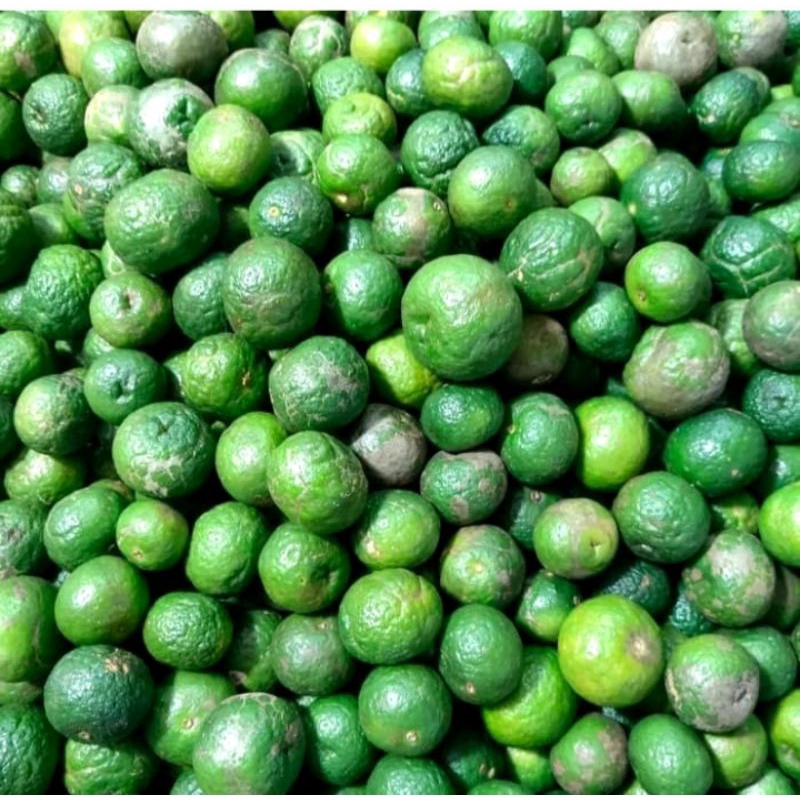 

Jeruk limau pelengkap baso aci/cuanki instan