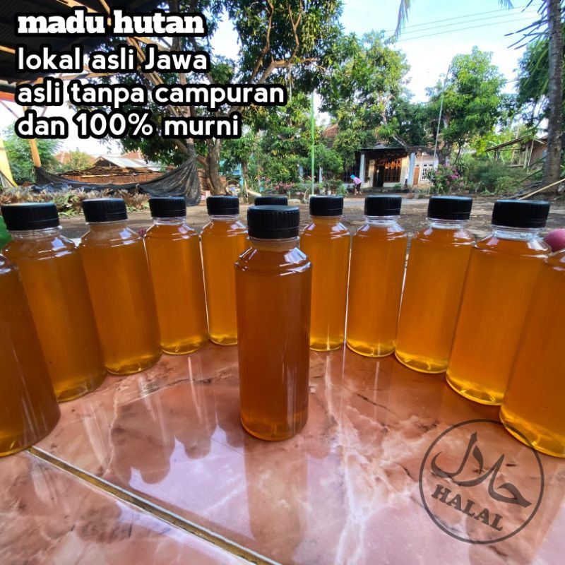 

MADU HUTAN LIAR ASLI dan murni madu hutan liar atau madu hutan asli Jawa