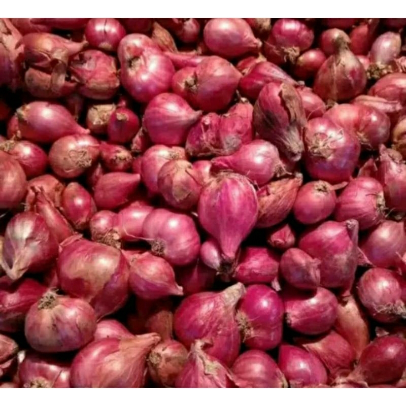

Bawang merah Brebes kering & bagus 1kg