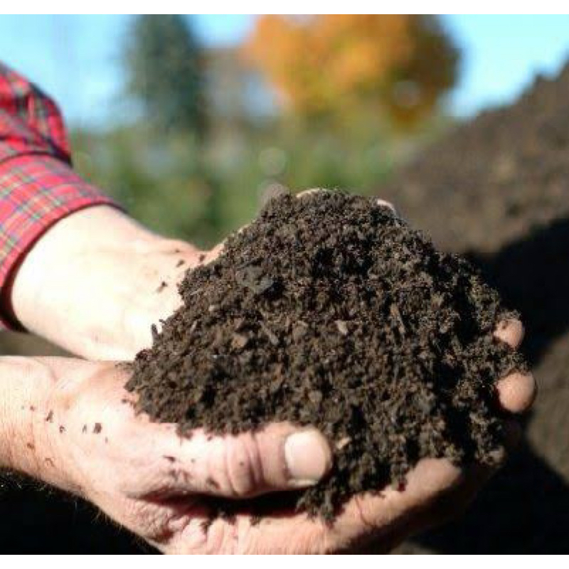 Kompos Horang Kayaaa