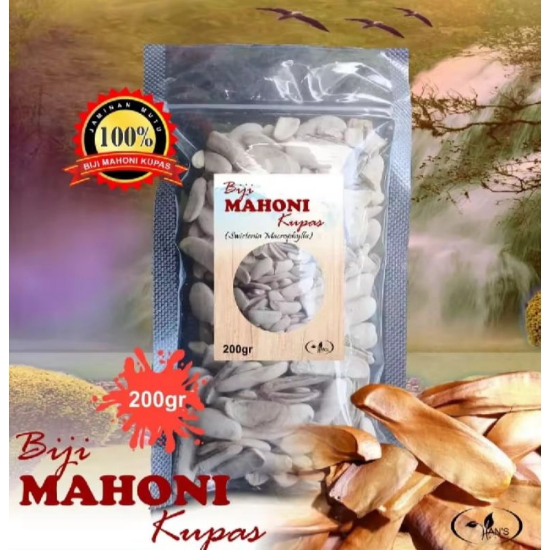 

biji mahoni/biji buah mahoni kupas/SKY FRUIT untuk kesehatan (diabetes,darah tinggi,gatal-gatal,dll)