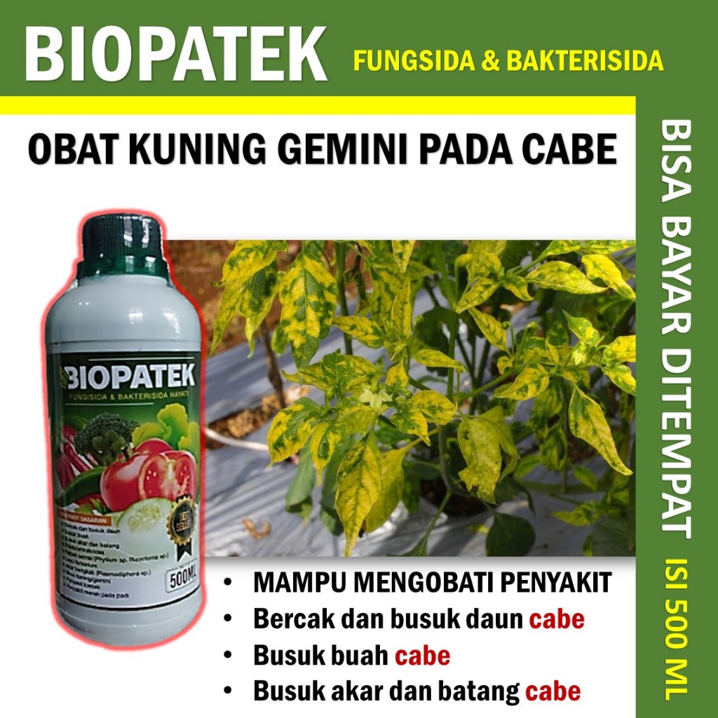 BIOPATEK BAKTERISIDA Obat Virus Kuning Gemini & Keriting Daun Cabe, Terong, Kacang Panjang, Tomat dl